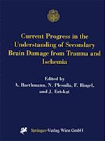 Current Progress in the Understanding of Secondary Brain Damage from Trauma and Ischemia