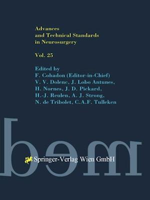 Advances and Technical Standards in Neurosurgery