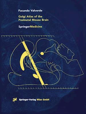 Golgi Atlas of the Postnatal Mouse Brain