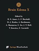 Brain Edema X