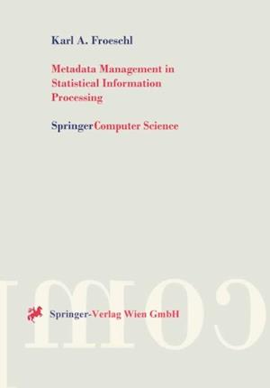 Metadata Management in Statistical Information Processing