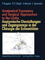 Anatomical Exposures and Surgical Approaches to the Limbs Anatomische Darstellungen und Zugangswege in der Chirurgie der Extremitaten