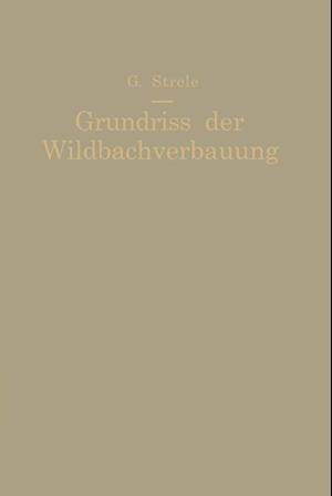 Grundriß Der Wildbachverbauung