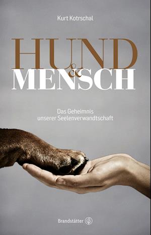 Hund & Mensch