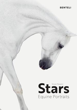 Stars: Equine Portraits