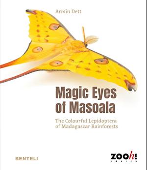 Magic Eyes of Masoala