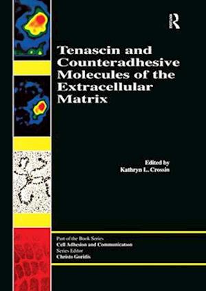 Tenascin and Counteradhesive Molecules of the Extracellular Matrix