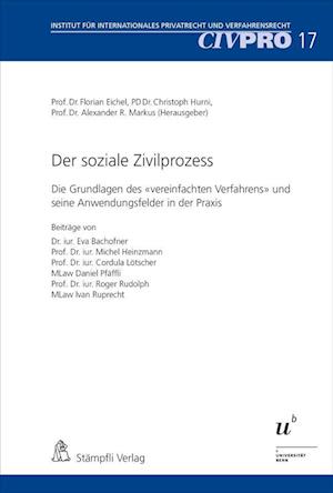 Der soziale Zivilprozess