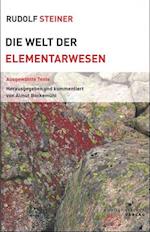 Die Welt der Elementarwesen