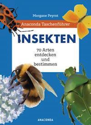 Anaconda Taschenführer Insekten