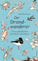 Der Strandwanderer. Tiere und Pflanzen der Nord- und Ostsee