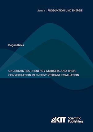 Uncertainties in energy markets and their consideration in energy storage evaluation