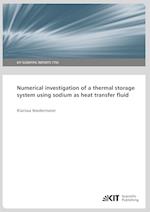 Numerical investigation of a thermal storage system using sodium as heat transfer fluid