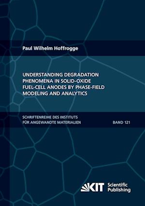 Understanding Degradation Phenomena in Solid-Oxide Fuel-Cell Anodes by Phase-Field Modeling and Analytics