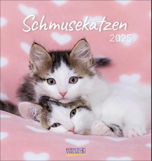 Schmusekatzen 2025