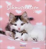 Schmusekatzen 2025