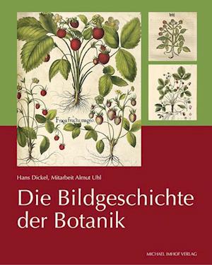 Die Bildgeschichte der Botanik