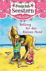 Ponyclub Seestern (Band 1) – Rettung für den kleinen Hund