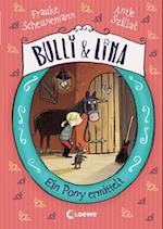Bulli & Lina (Band 4) - Ein Pony ermittelt