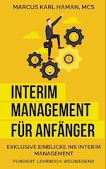 Interim Management für Anfänger