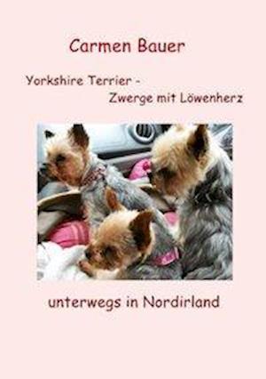 Yorkshire Terrier - Zwerge Mit Lowenherz Unterwegs in Nordirland