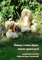 Sieben Lhasa Apso