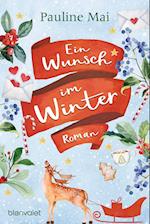 Ein Wunsch im Winter