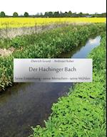 Der Hachinger Bach