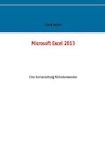 Microsoft Excel 2013