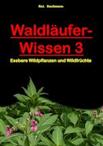 Waldläufer-Wissen 3