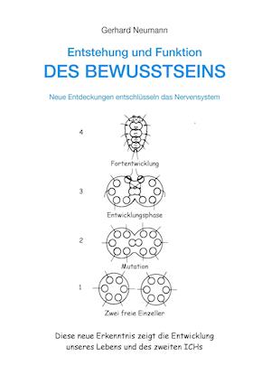 Entstehung Und Funktion Des Bewusstseins