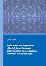 Performance and Degradation of BaCoO3 based Perovskite Catalysts during Oxygen Evolution in Alkaline Water Electrolysis