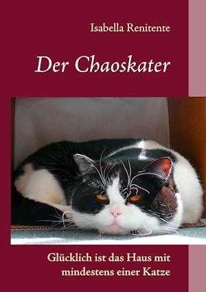 Der Chaoskater - Glucklich Ist Das Haus Mit Mindestens Einer Katze