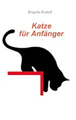 Katze für Anfänger