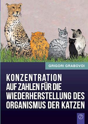 Konzentration Auf Zahlen Fur Die Wiederherstellung Des Organismus Der Katzen