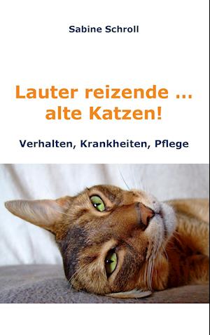 Lauter reizende ... alte Katzen!