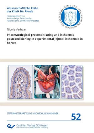 Pharmacological preconditioning and ischaemic postconditioning in experimental jejunal ischaemia in horses