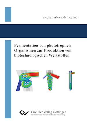 Fermentation von phototrophen Organismen zur Produktion von biotechnologischen Wertstoffen