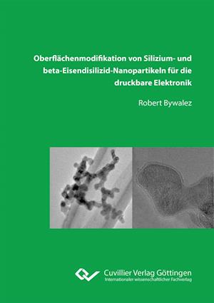 Oberflächenmodifikation von Silizium- und beta-Eisendisilizid-Nanopartikeln für die druckbare Elektronik