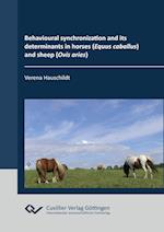 Behavioural synchronization and its determinants in horses (Equus caballus) and sheep (Ovis aries)