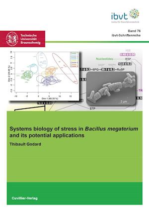 Systems biology of stress in Bacillus megaterium and its potential applications