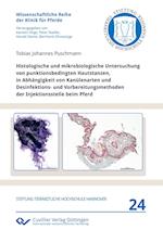 Histologische und mikrobiologische Untersuchung von punktionsbedingten Hautstanzen, in Abhängigkeit von Kanülenarten und Desinfektions- und Vorbereitungsmethoden der Injektionsstelle beim Pferd