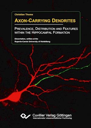 Axon-Carrying Dendrites. Prevalence, Distribution and Features within the Hippocampal Formation