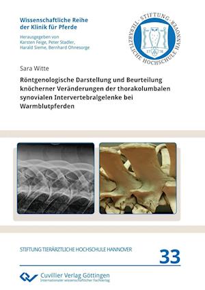 Röntgenologische Darstellung und Beurteilung knöcherner Veränderungen der thorakolumbalen synovialen Intervertebralgelenke bei Warmblutpferden