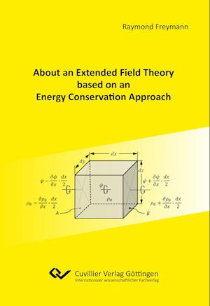 About an Extended Field Theory based on an Energy Conservation Approach