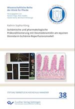 Ischämische und pharmakologische Präkonditionierung mit Dexmedetomidin am equinen Dünndarm-Ischämie-Reperfusionsmodell