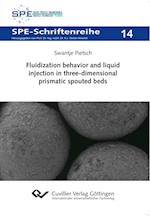 Fluidization behavior and liquid injection in three-dimensional prismatic spouted beds