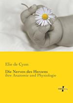 Die Nerven des Herzens