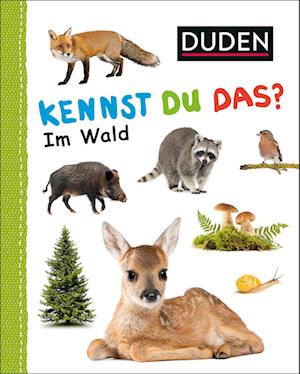 Kennst du das? Im Wald