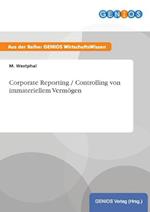 Corporate Reporting / Controlling von immateriellem Vermögen